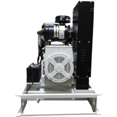 Planta de Emergencia Diesel / 42 kW (52 kVA) Emergencia / 38 kW (49 kVA) Continuo / 220/127 V / Trifásico 4 Hilos / Tanque 125 L / Transferencia Automática