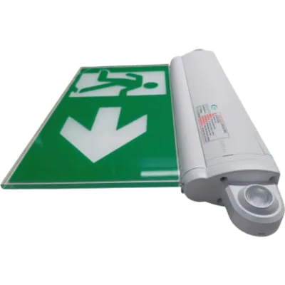 Letrero de Salida con Luz de Emergencia / Borde Iluminado LED / Pictograma Intercambiable 150 mm / Montaje Múltiple / Autonomía 2 Horas / 460 Lúmenes