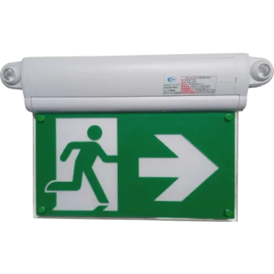 Letrero de Salida con Luz de Emergencia / Borde Iluminado LED / Pictograma Intercambiable 150 mm / Montaje Múltiple / Autonomía 2 Horas / 460 Lúmenes